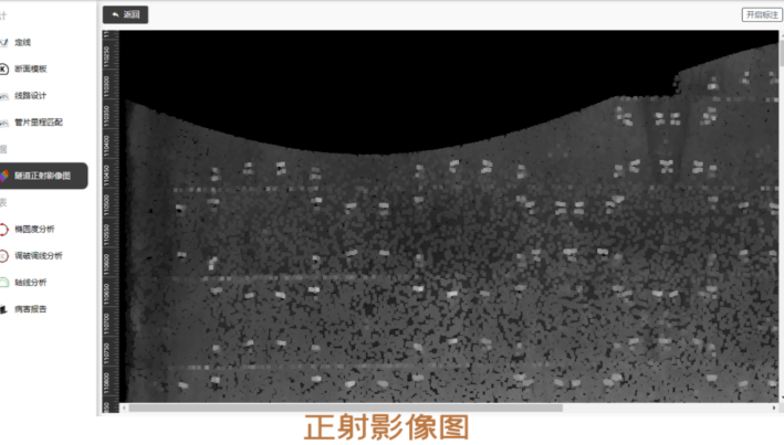 正射影像图（可手动病害标注）